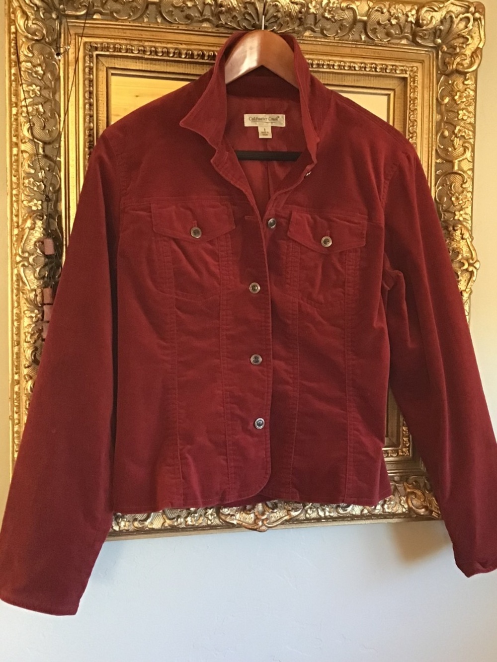 Burgundy velvet jacket